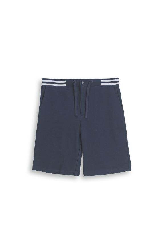 Amerigo Vespucci Bermudas