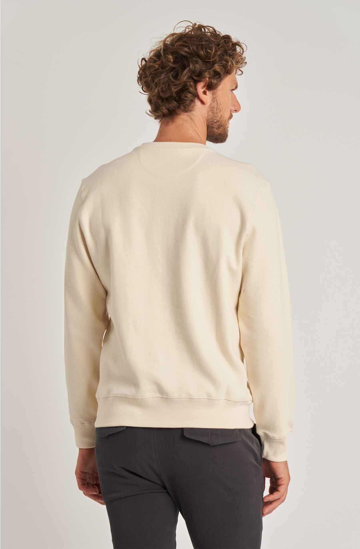 Organic men's crew-neck cotton sweatshirt